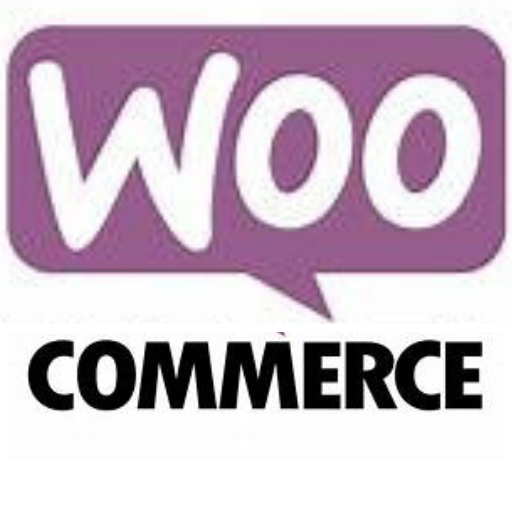 WEBSITE DEVELOPMENT
